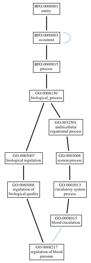 Graph of GO:0008217