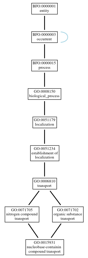 Graph of GO:0015931