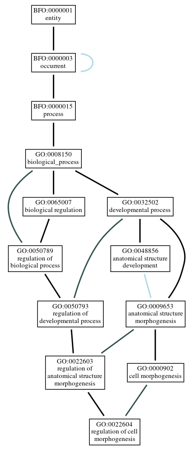 Graph of GO:0022604