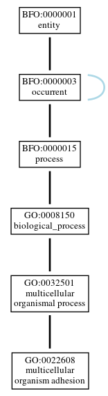 Graph of GO:0022608