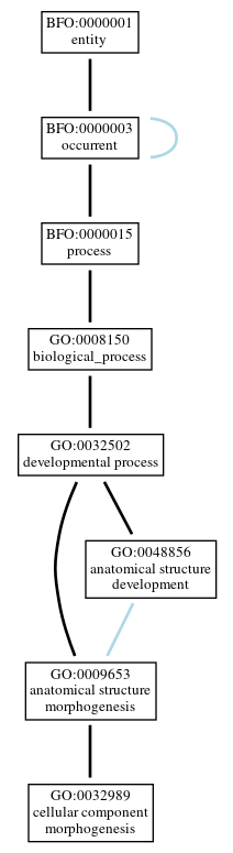Graph of GO:0032989