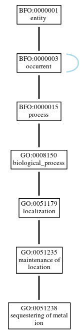 Graph of GO:0051238