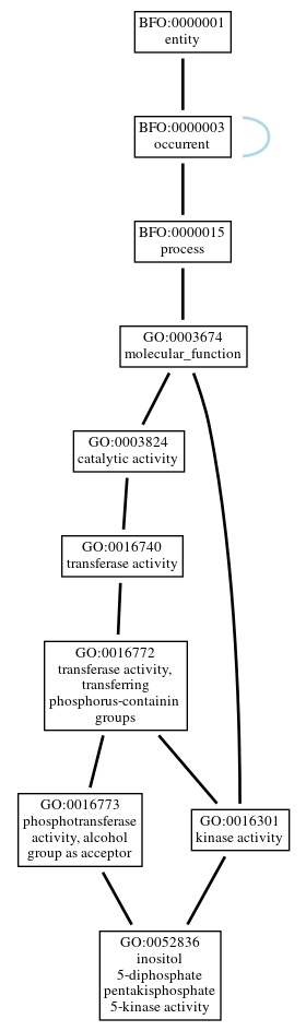 Graph of GO:0052836