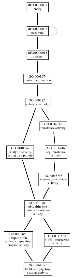 Graph of GO:0061657