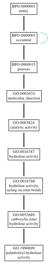 Graph of GO:1990699