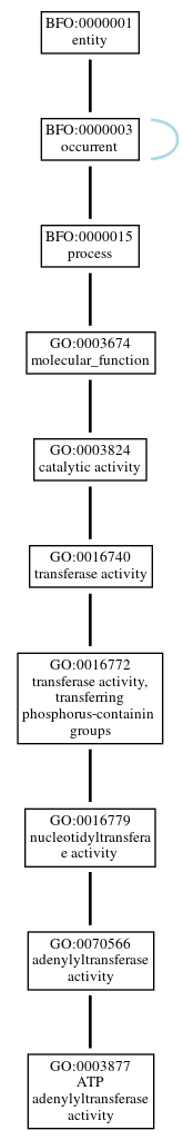 Graph of GO:0003877