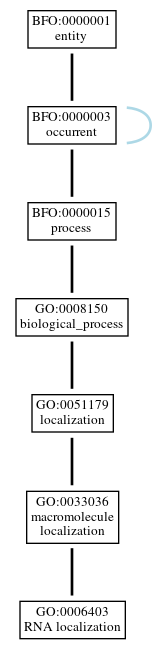Graph of GO:0006403