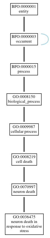 Graph of GO:0036475