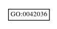 Graph of GO:0042036