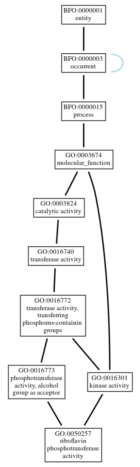 Graph of GO:0050257
