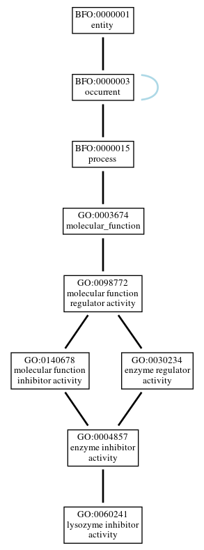 Graph of GO:0060241