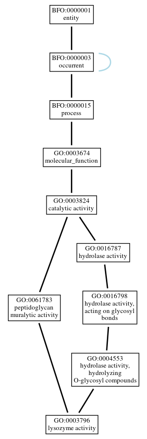 Graph of GO:0003796
