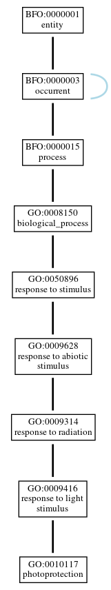 Graph of GO:0010117