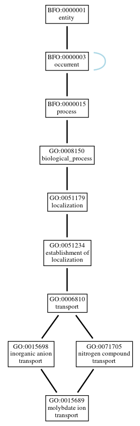 Graph of GO:0015689