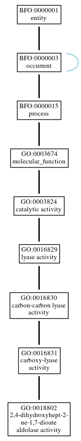 Graph of GO:0018802
