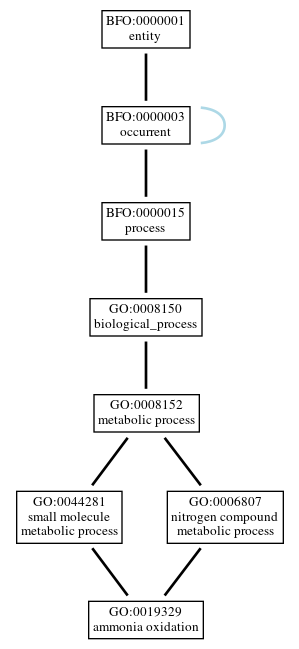 Graph of GO:0019329