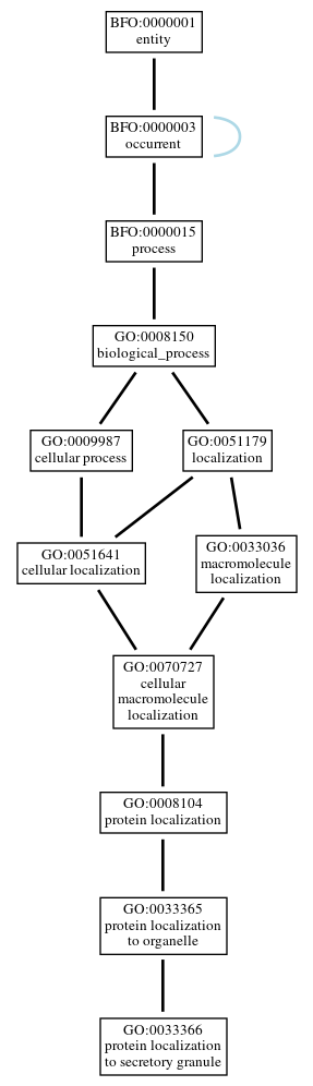 Graph of GO:0033366