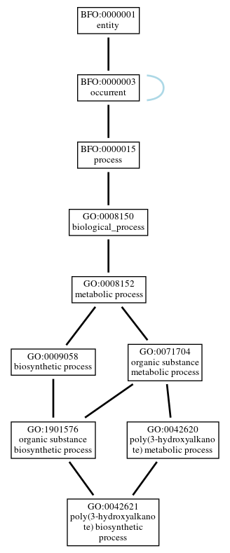 Graph of GO:0042621