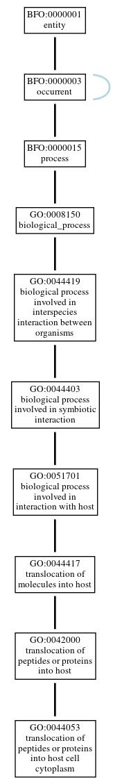 Graph of GO:0044053