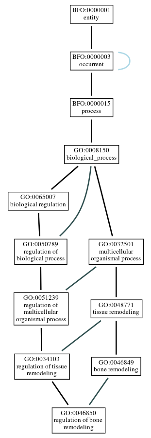 Graph of GO:0046850
