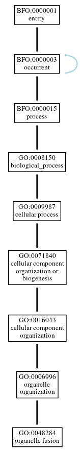 Graph of GO:0048284