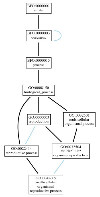 Graph of GO:0048609