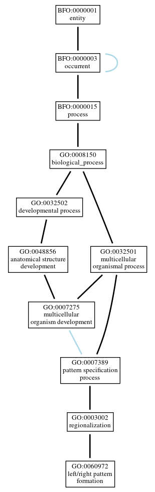 Graph of GO:0060972