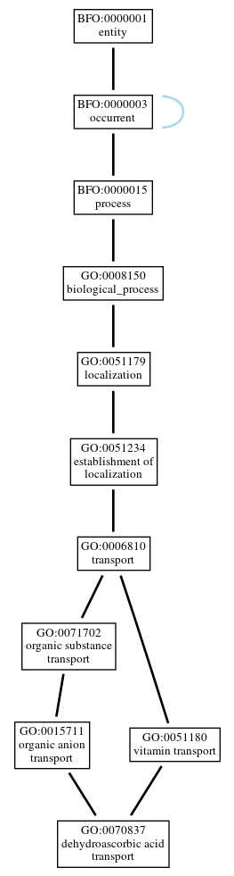 Graph of GO:0070837