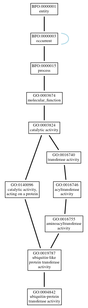 Graph of GO:0004842