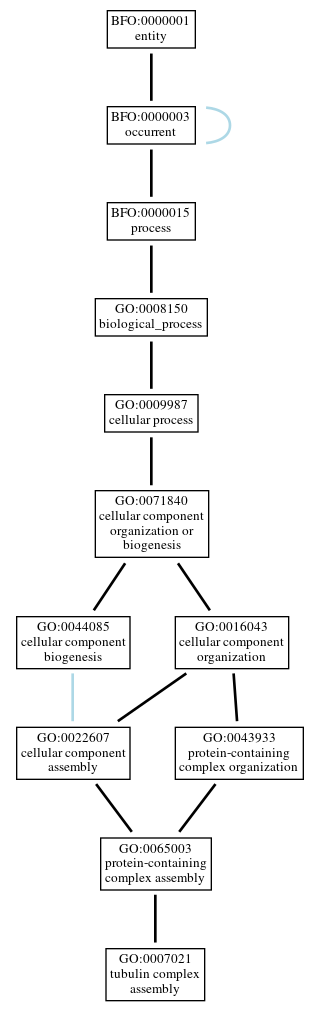 Graph of GO:0007021