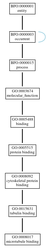 Graph of GO:0008017