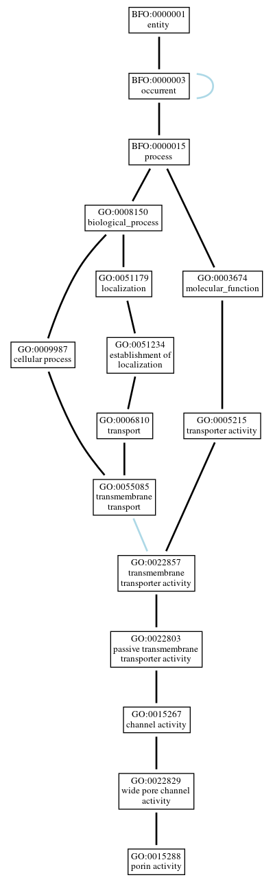 Graph of GO:0015288