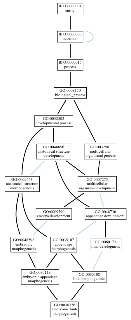 Graph of GO:0030326