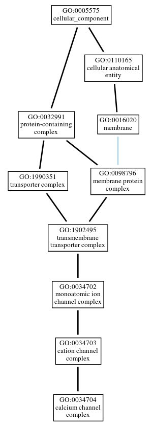 Graph of GO:0034704