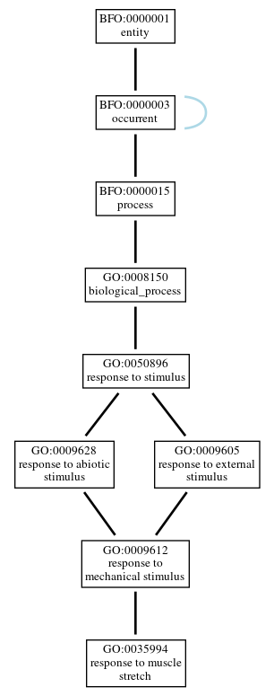 Graph of GO:0035994