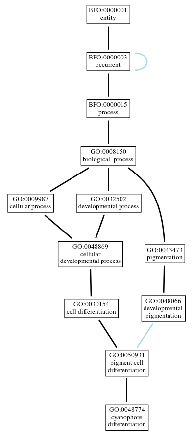 Graph of GO:0048774