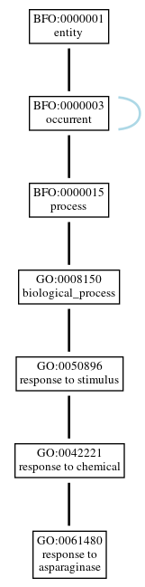 Graph of GO:0061480