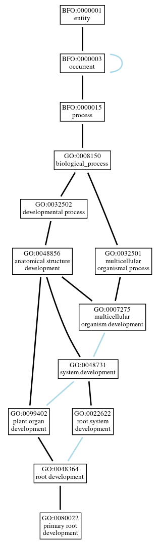 Graph of GO:0080022