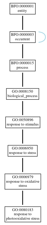 Graph of GO:0080183