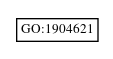 Graph of GO:1904621