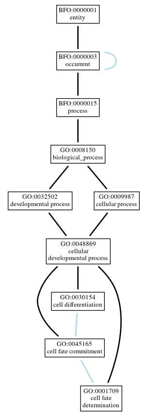 Graph of GO:0001709
