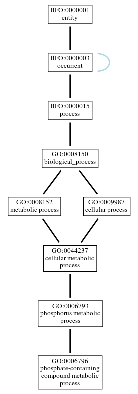 Graph of GO:0006796