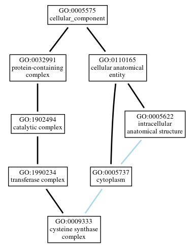 Graph of GO:0009333
