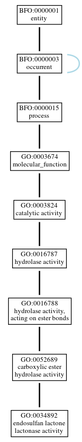 Graph of GO:0034892