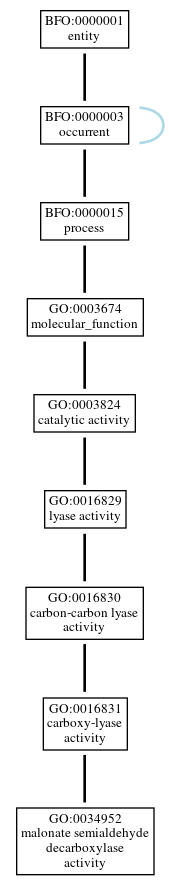 Graph of GO:0034952