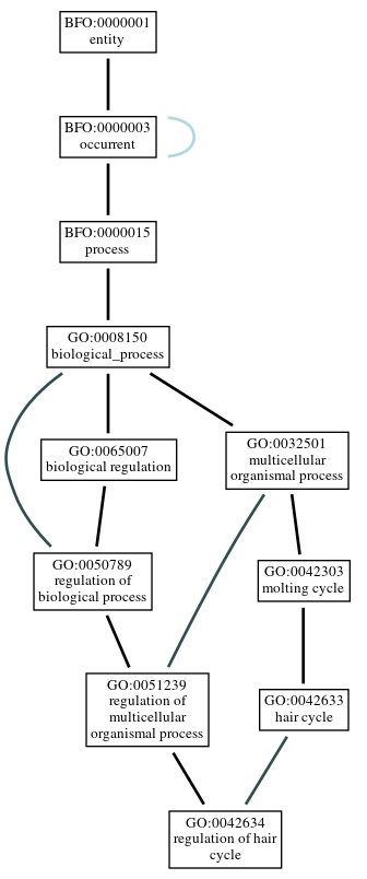 Graph of GO:0042634