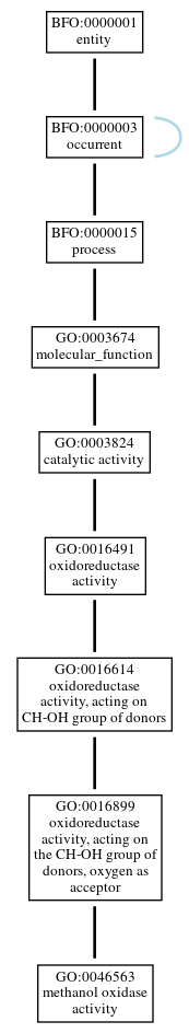 Graph of GO:0046563