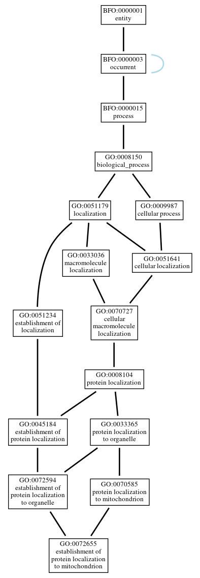 Graph of GO:0072655