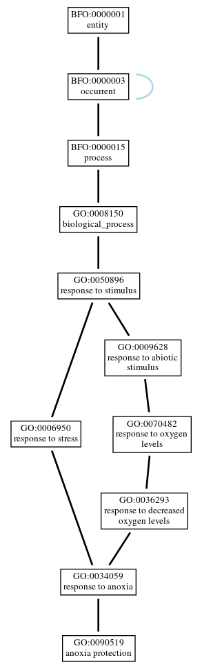 Graph of GO:0090519