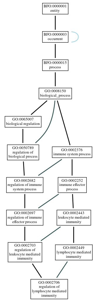 Graph of GO:0002706
